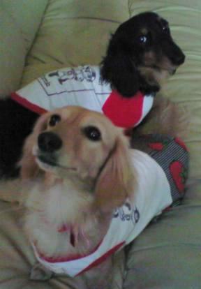 ラムちゃんとプーちゃん