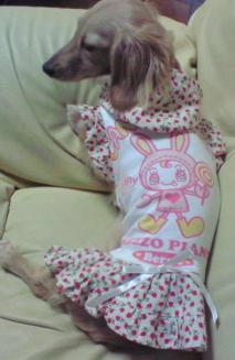 ラムちゃんメゾ