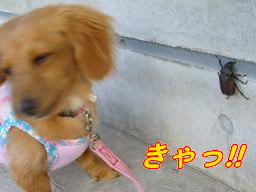 nana 017.jpg