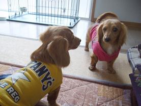 くうちゃん、またきたの?!