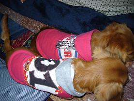 なかよくおそろ!!