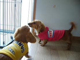 こっちこないでぇ～