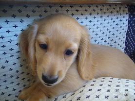 くぅちゃんです^^