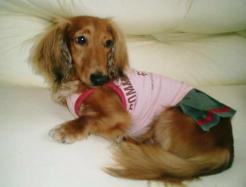 なんちゃってコムサ隊3号