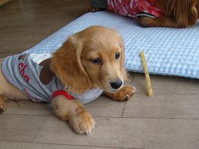 もうい～らない