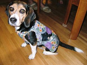 だりあさんのワンピ完成！