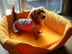 お誕生日に。。