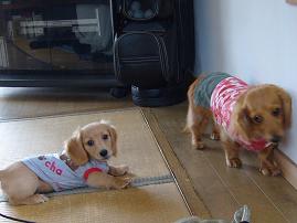 なんなのこの子。。。