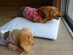 仲良くならんで。。