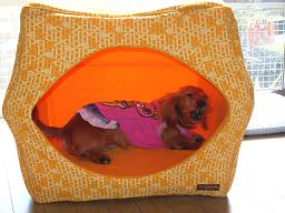 興奮してます^^;