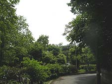 公園