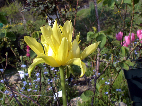 DSC02520.JPG