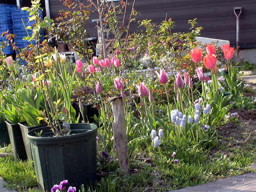 DSC02533.JPG