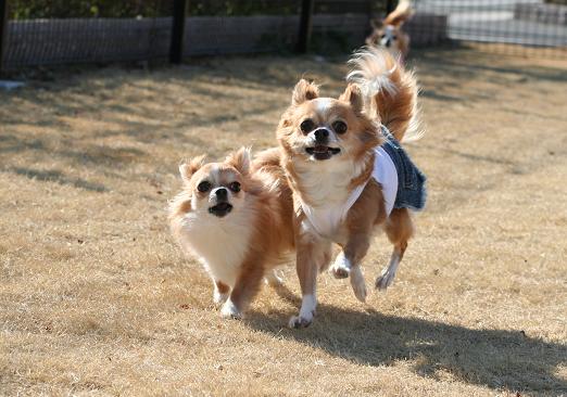 おばあちゃんと