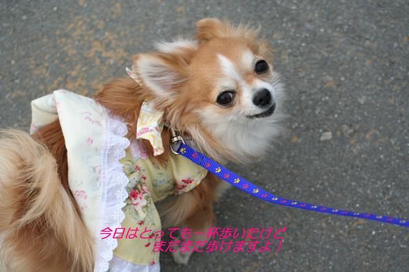 まだ歩けますよ