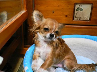 おやつは欲しいけど