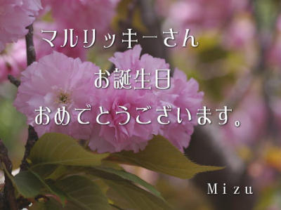 Mizuさん