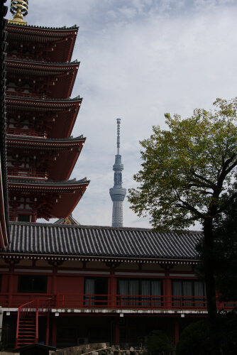 浅草寺庭園4