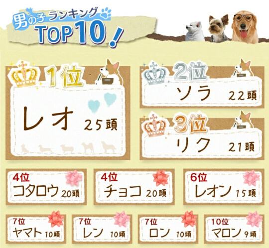 男の子  ＴＯＰ１０