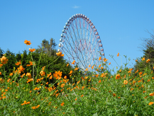 葛西臨海公園6