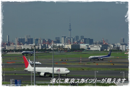 羽田空港国際線旅客ターミナル03