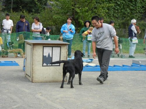 犬の躾け教室5