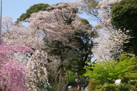 池上本門寺