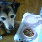 イマイチヤナァ