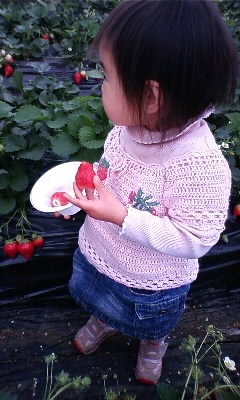 いちごとおはるちゃん