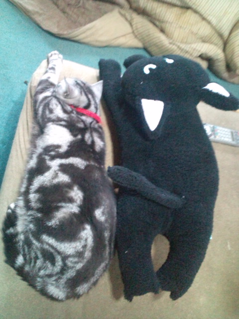 チェリーとぬいぐるみ