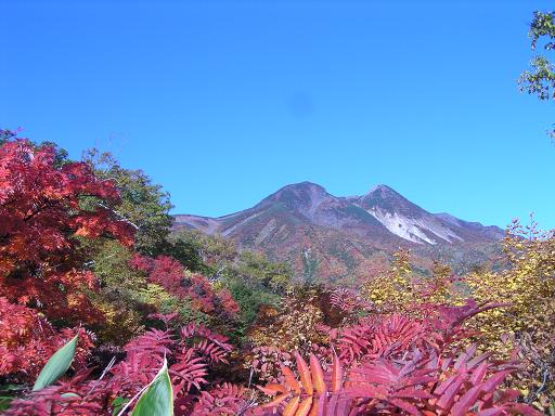 白山紅葉