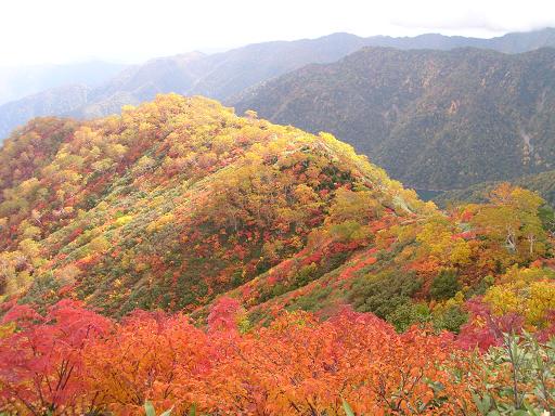 湖を見下ろす