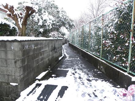 通勤途中細道