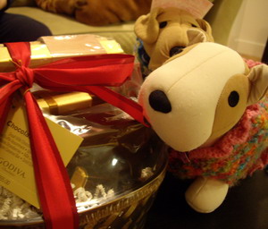 チョッ・・・チョコだっ