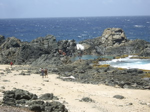 natural pool