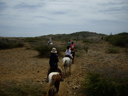 horse riding