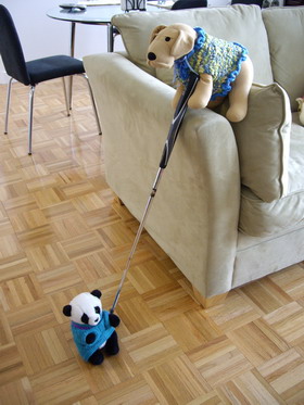 ボールじゃないよ