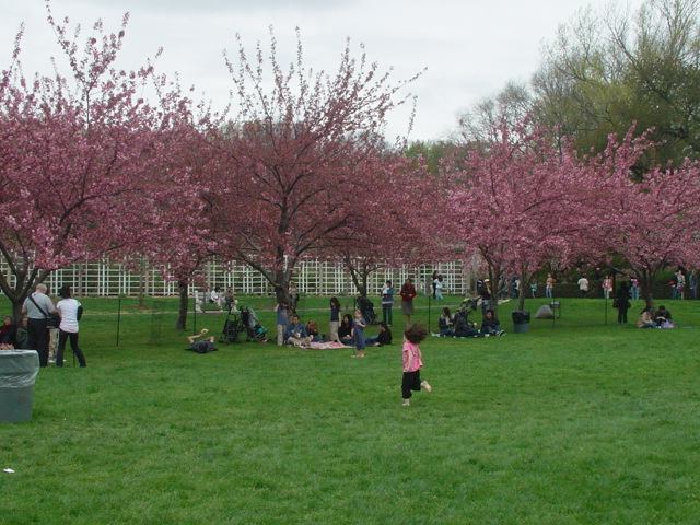 botanic garden