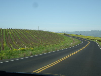 wine road