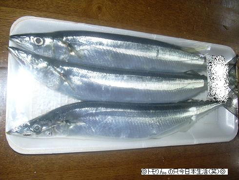 sanma