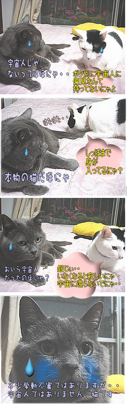 銀ちゃん宇宙人２