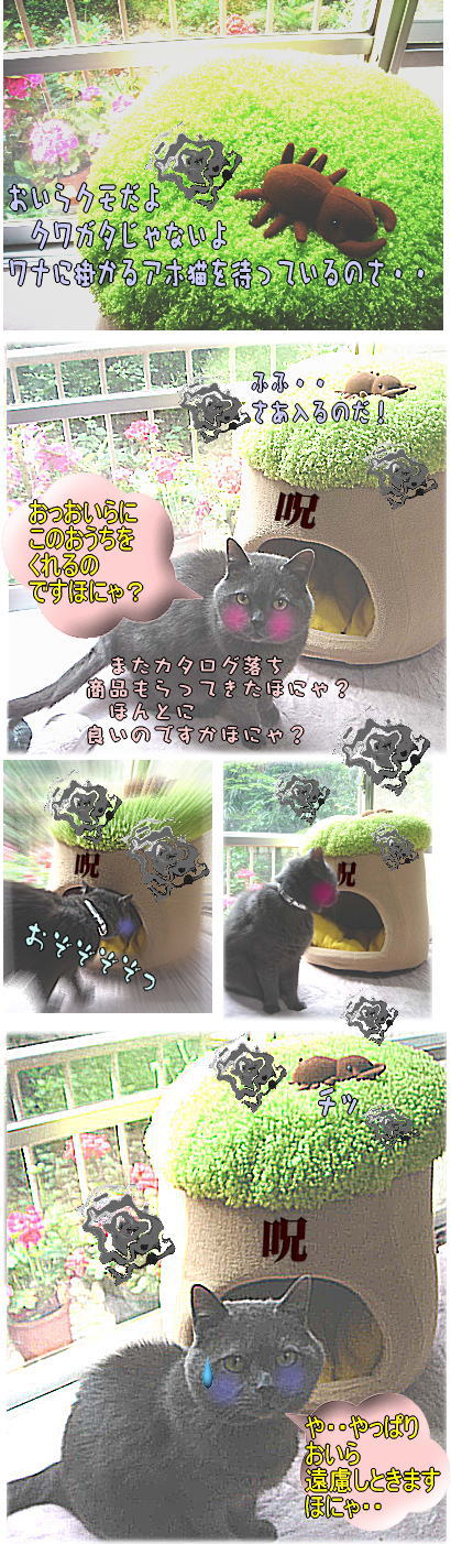 銀じぃと新しいおウチ