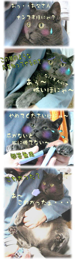 ぎんじいさんつめきり