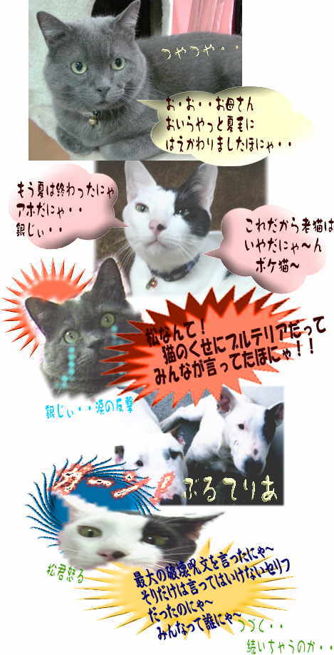 ginnmaru