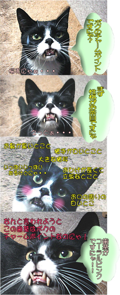 太ちゃんのチャームポイント
