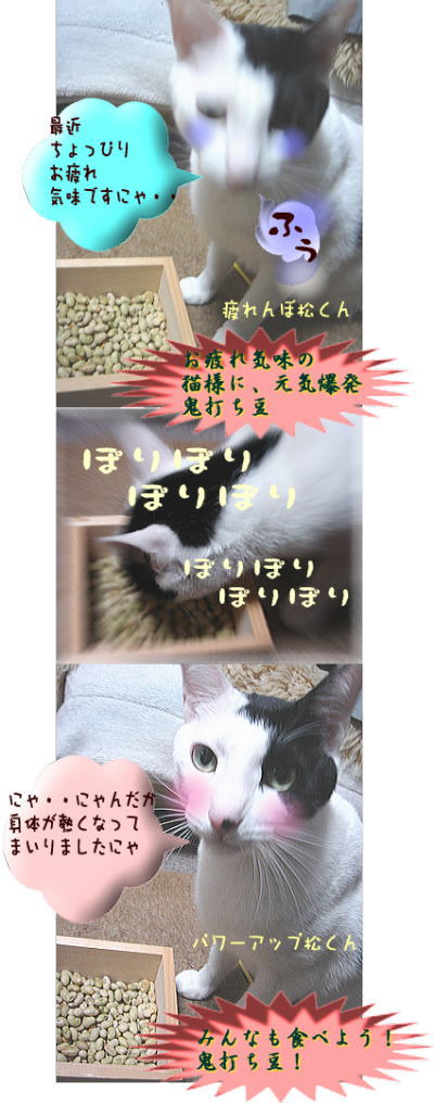 おまめ好き好き松くん