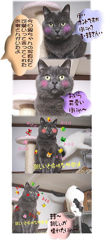 銀ちゃん可愛い