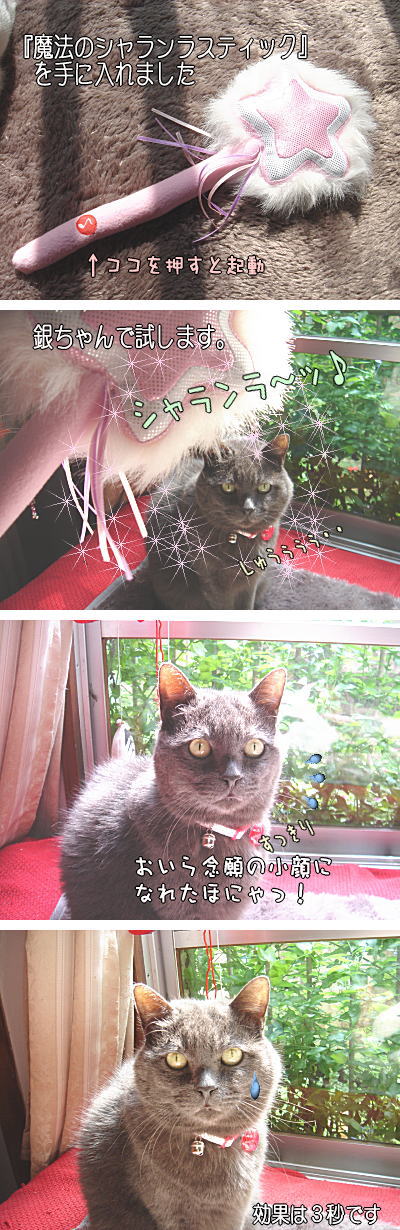 魔法のシャランラ