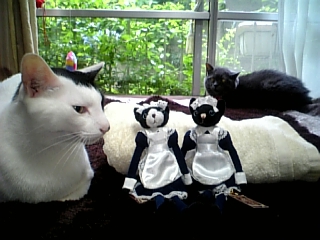 メイド猫