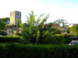 view from Cathy's house